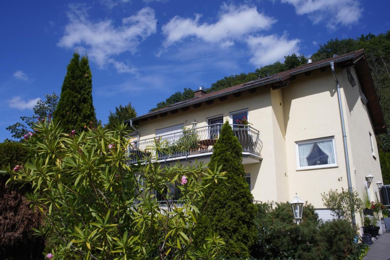Ferienwohnung Ahrtalblick ジンツィッヒ エクステリア 写真
