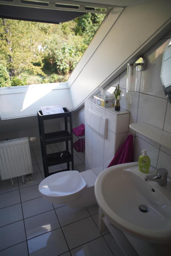 Ferienwohnung Ahrtalblick ジンツィッヒ エクステリア 写真