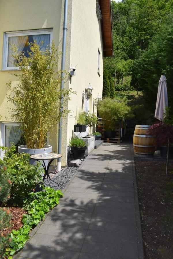 Ferienwohnung Ahrtalblick ジンツィッヒ エクステリア 写真