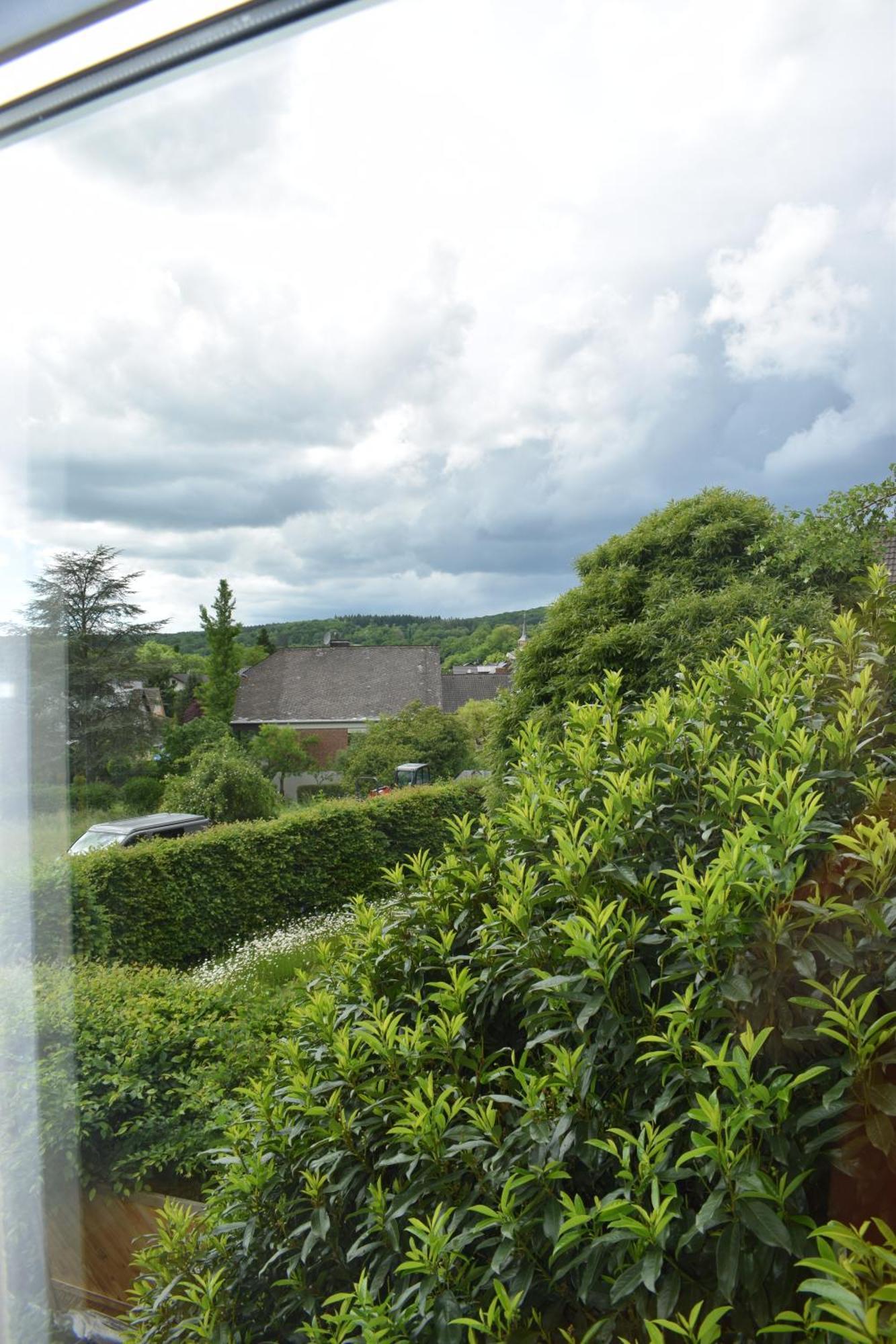 Ferienwohnung Ahrtalblick ジンツィッヒ エクステリア 写真